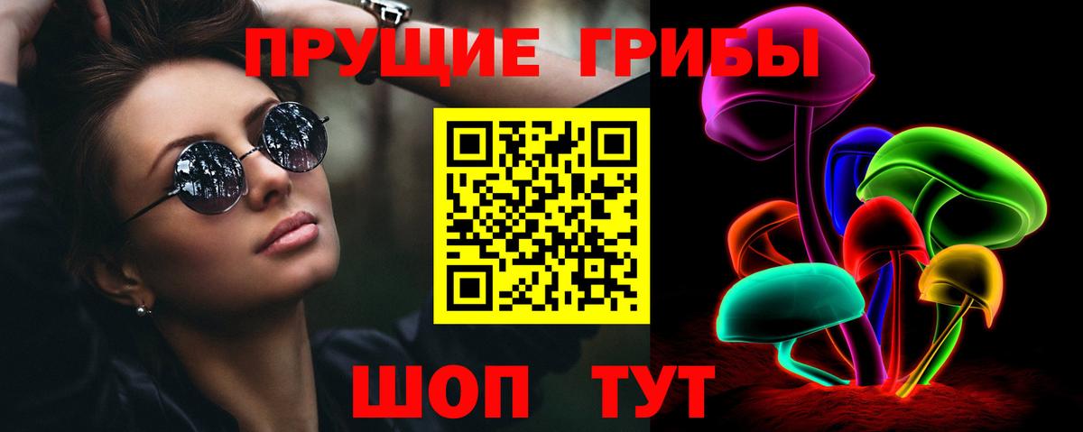Псилоцибиновые грибы MAGIC MUSHROOMS  Вход с VPN  Псилоцибиновые грибы MAGIC MUSHROOMS  сколько стоит  Соль-Илецк 